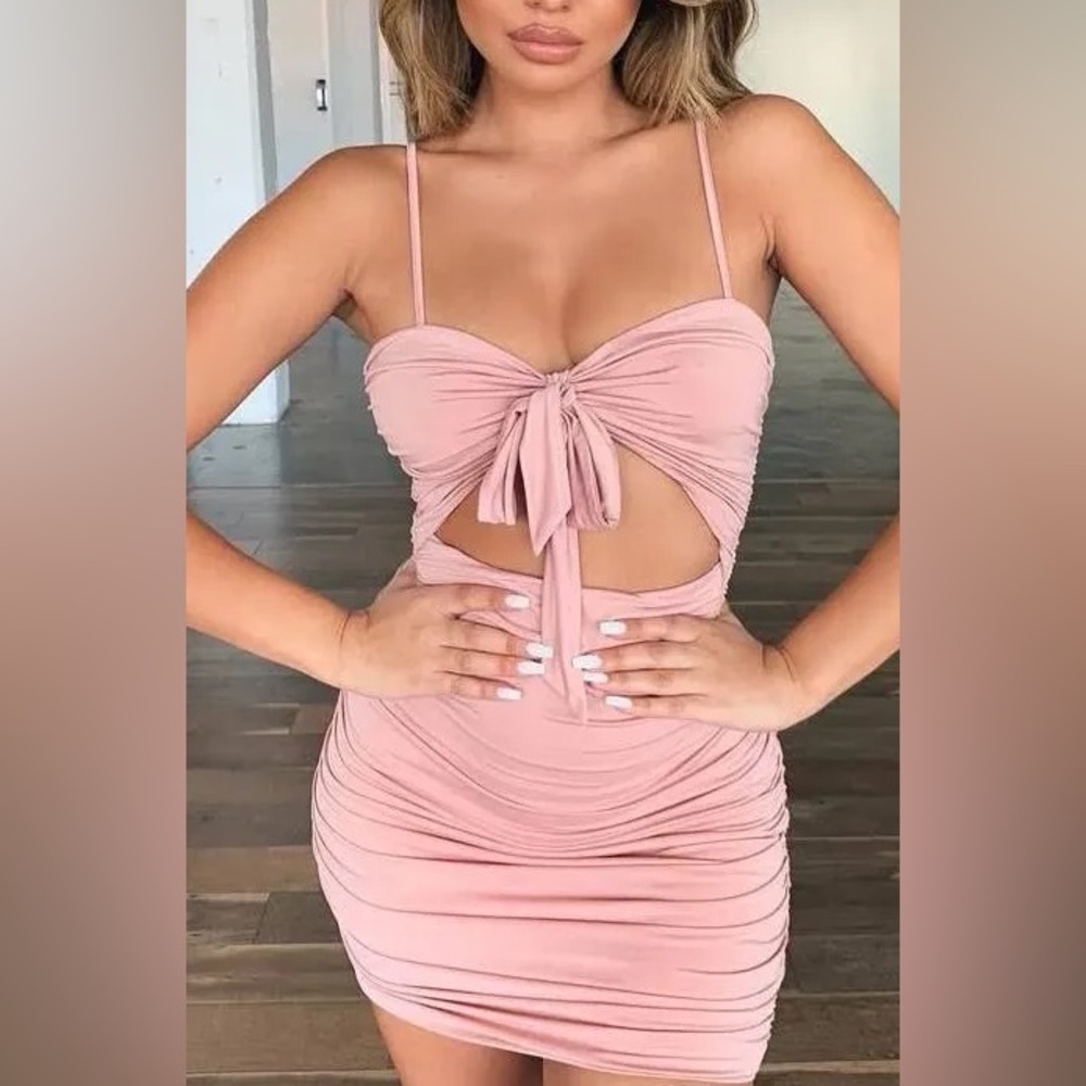 Tiger Mist Blush Tie-Front Dress